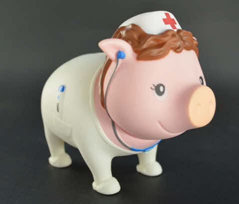 Biggy's Spaarvarken Nurse